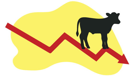 India's smallcap market delivers its weakest performance in seven years