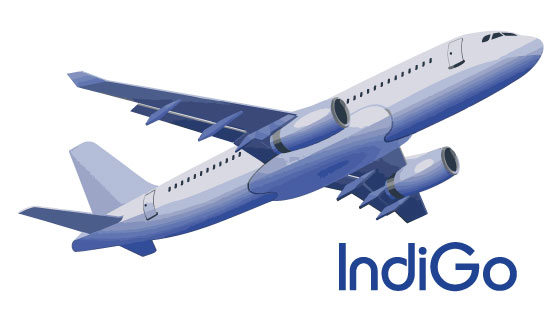 IndiGo shares gain 4% after analyst meet