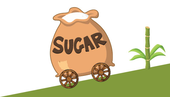 Sugar stocks rally up to 10%