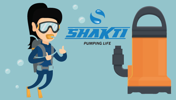 Shakti Pumps shares surge 12%